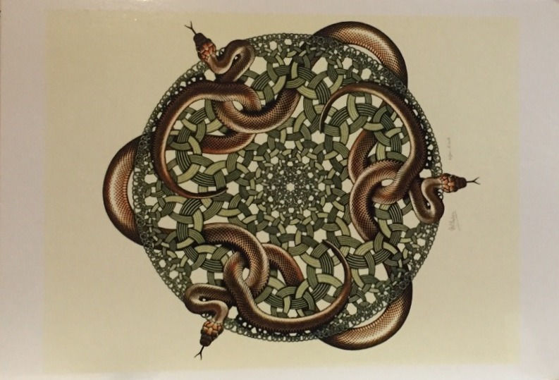 M C Escher, Snakes, 1969