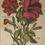 Thumbnail: Botanical Print, Plate 15