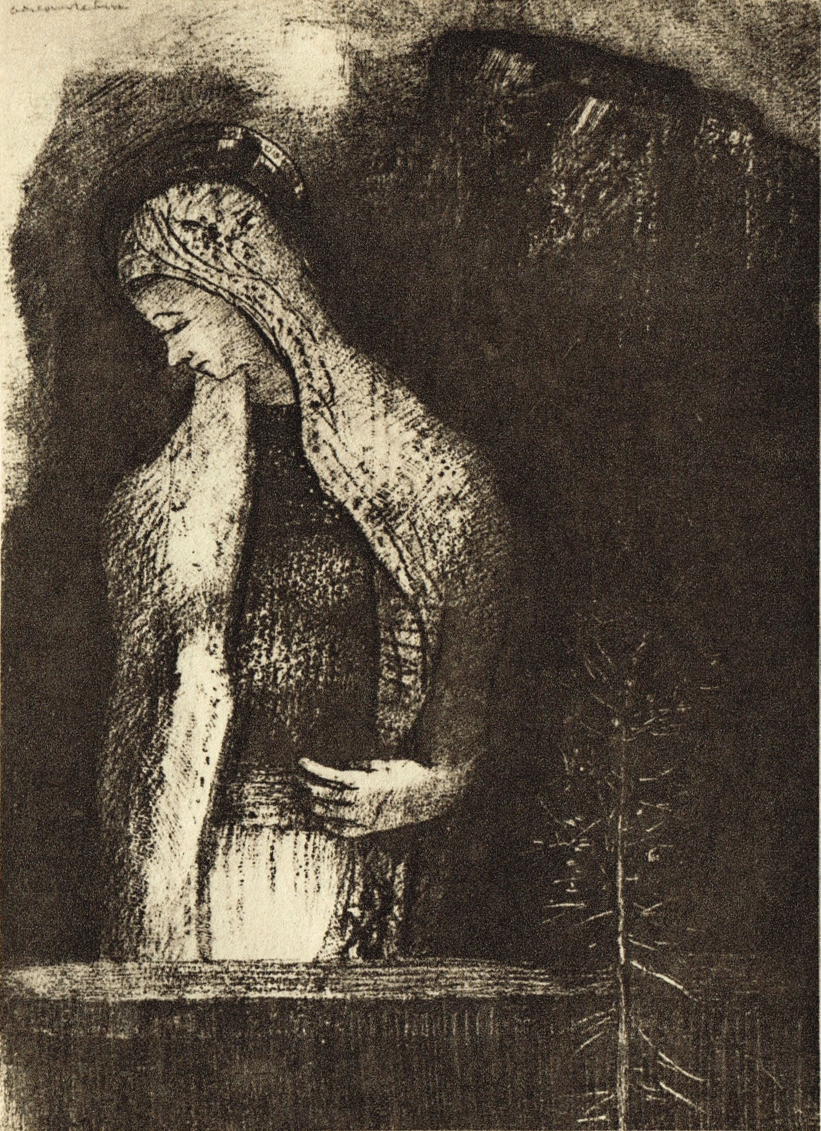 Odilon Redon, Heliogravure