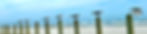 20250215_192716026_iOS_edited.jpg