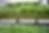ROOTIMENTREES-04.jpg