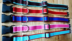 Personalised embroidered pet collar