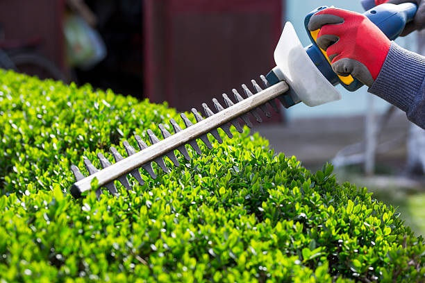 gardening