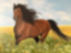 Freedom in Motion