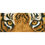 Thumbnail: Tiger Spy | Diamond Dotz Kit for DIY Diamond Painting dd5.041