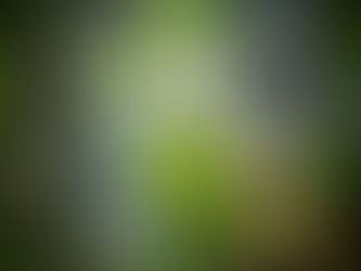 De la relation d’aide, sans les coûts du volet clinique