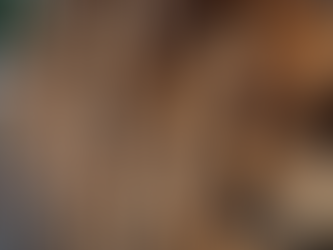 Firewood Prices: What to Expect with Average Firewood Costs