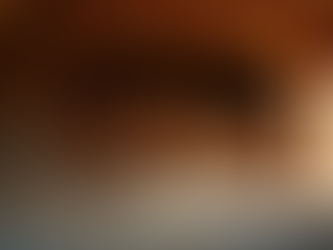 Exploring the Uses of Log Kilns: Understanding Log Kilns for Better Firewood