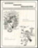 Mesures d’ordre général à l’occasion du festival. 1982