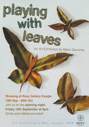 Playing with Leaves Solo Show Poster