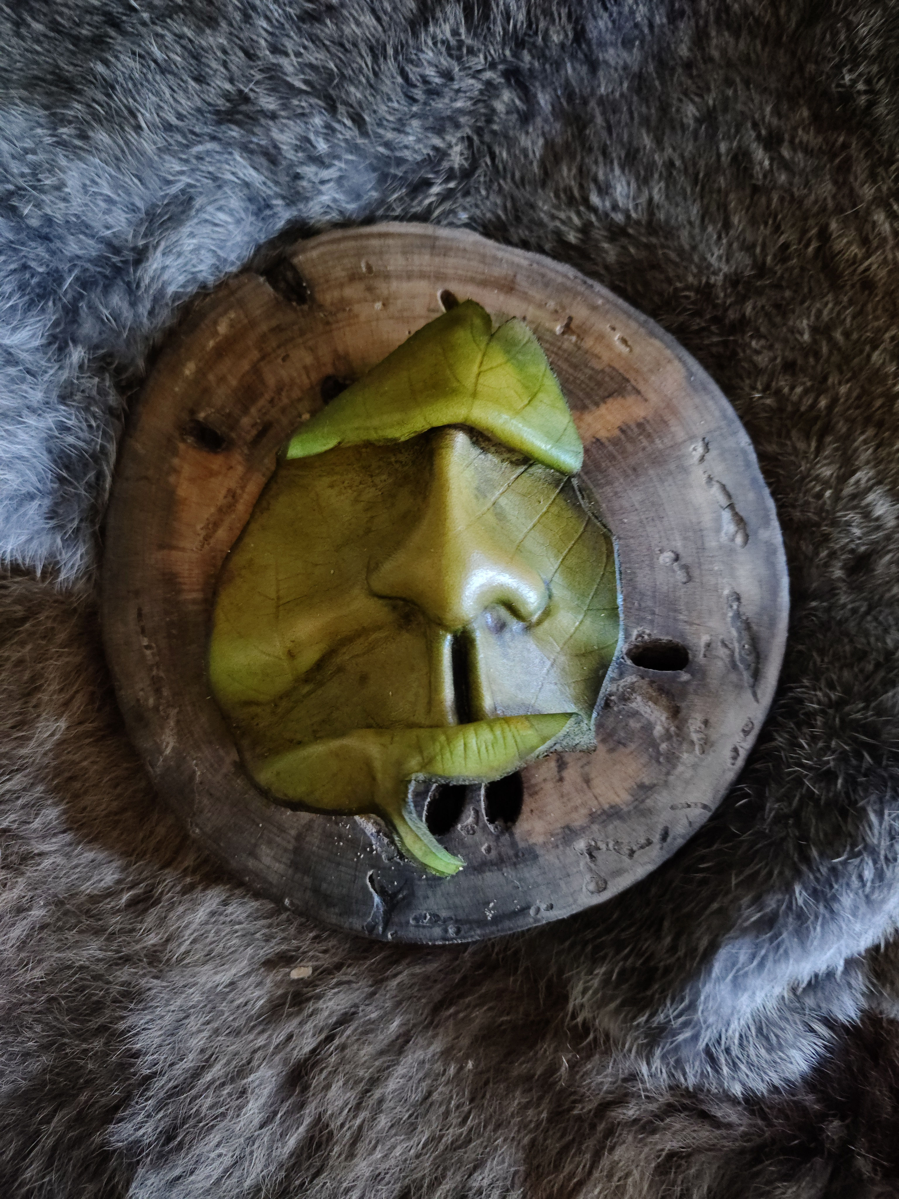 "Leef Peeps" - Meet: Barker (Wall Hanging Sculpture)