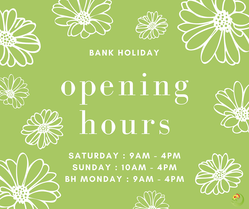 May Day Bank Holiday Opening 2022 may-day-bank-holiday-opening-2022