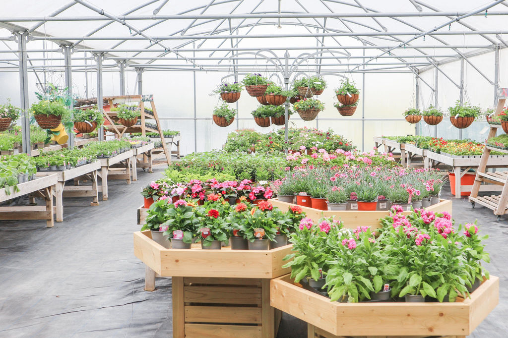 Plants & Garden Shop Deepdale Garden Centre BartonuponHumber