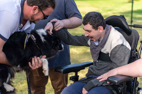 Man in a wheelchair smiling and patting a border collie dog, Picnic in the Park 2025