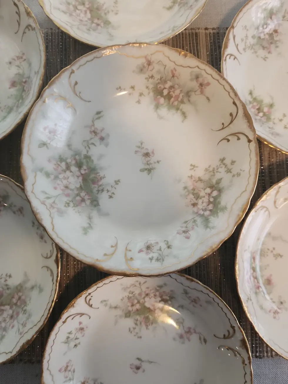 Thumbnail: 12 Coupe Soup Bowls Theodore Haviland Limoges France Memphis Queensware Co. 1896