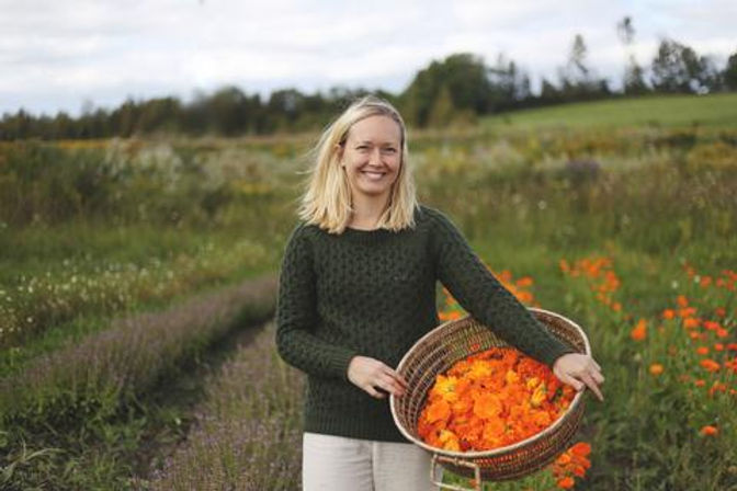 CalendulaBob3_480x480.jpg