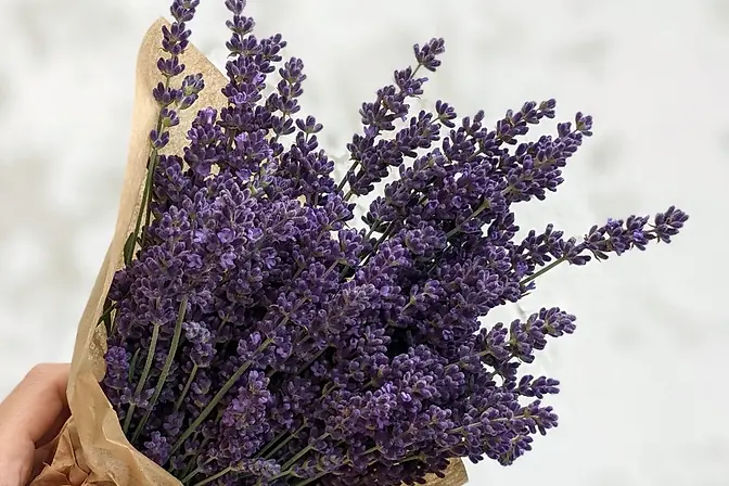 fresh-lavender-bouquet-tullamore-lavender.webp