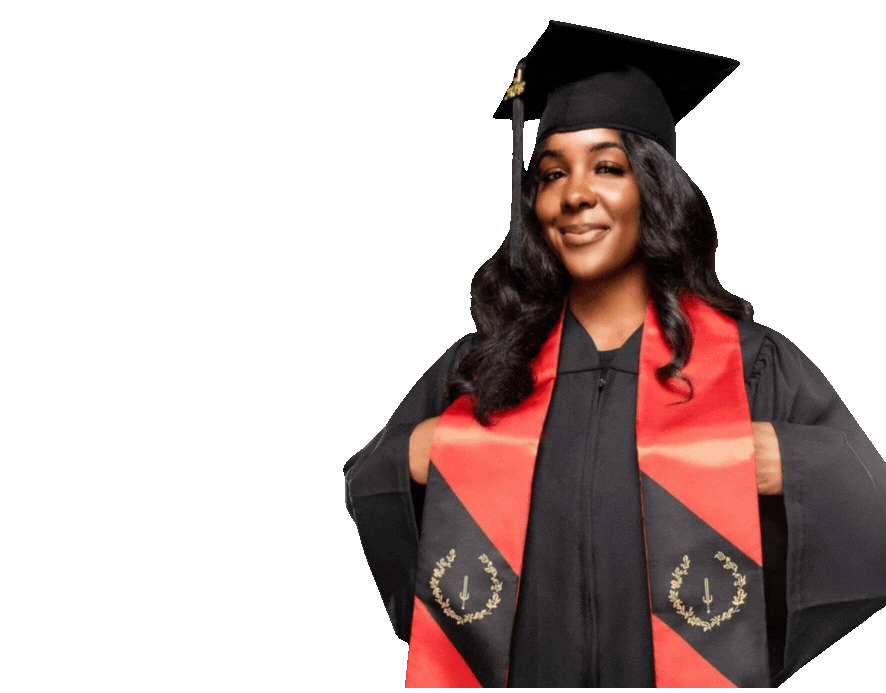 Black Heritage Flag Sashel