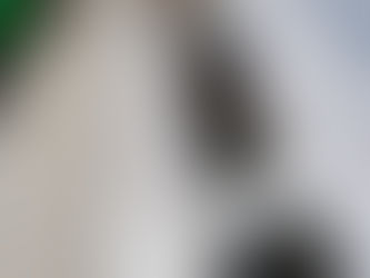 Ablakmosás Ipari Alpin technikával