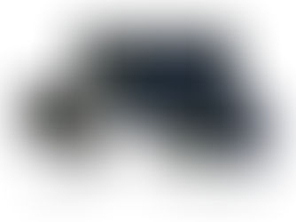 Innovative Security Systems for the Future