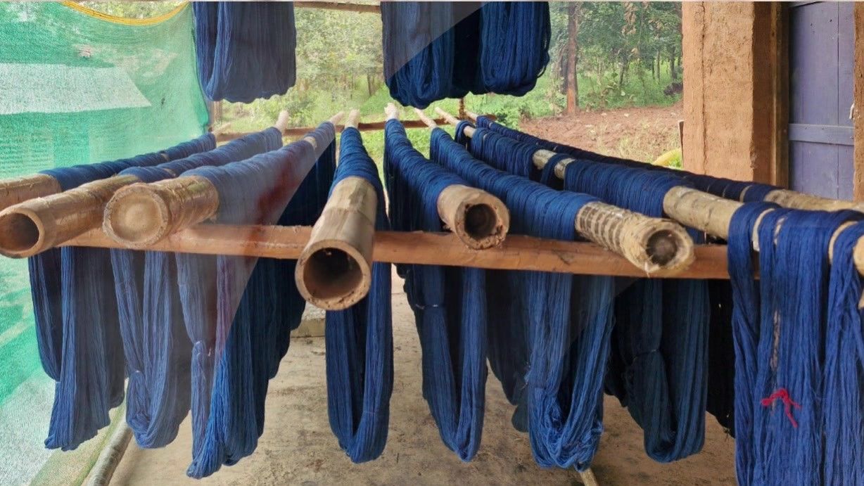 Indigo-dyed yarn hanging to dry on bamboo poles