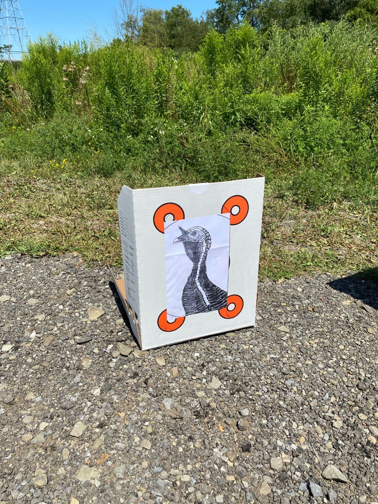 best-cardboard-target-for-small-caliber-and-shotgun