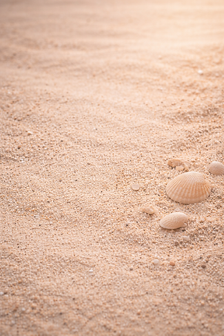 ChatGPT Image Jan 22, 2026 at 01_07_38 AM.png