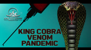 Today's Red Pill - King Cobra Venom Pandemic - Must Watch