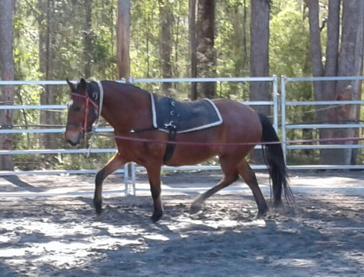 65575124_2120683278060688_769674945650229248_n (1).jpg