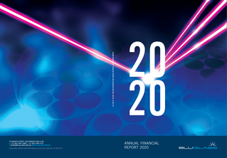 2020 ANNUAL REPORT