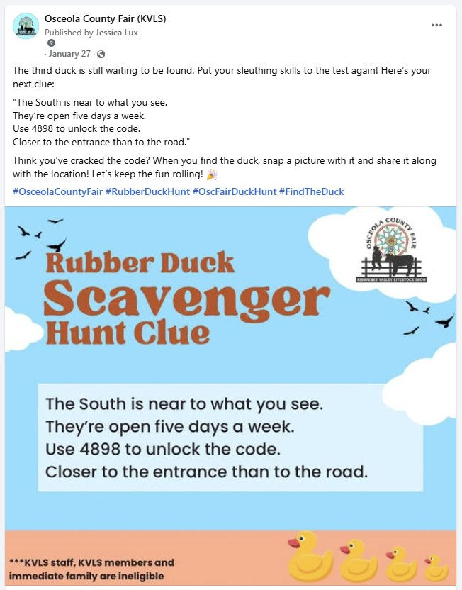 Fair FB Duck Hunt.jpg