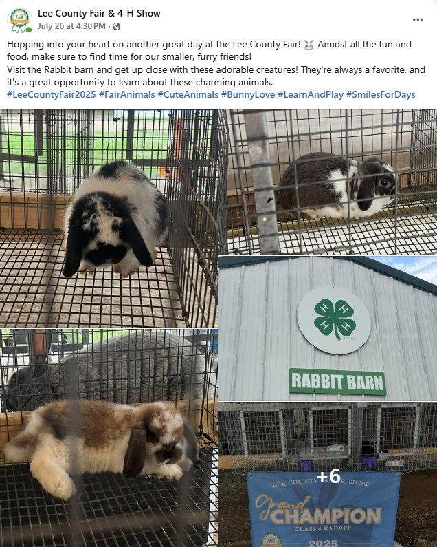 rabbit barn - 7-26-2025.jpg