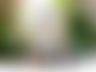 THE SUSTAINABLE DRINKS CABINET 24 | B CORP MONTH