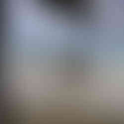 אנשים עומדים על חוף הים