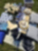 blue_picnic_spread.jpeg