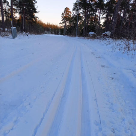 Skiduthyrningen 5/1