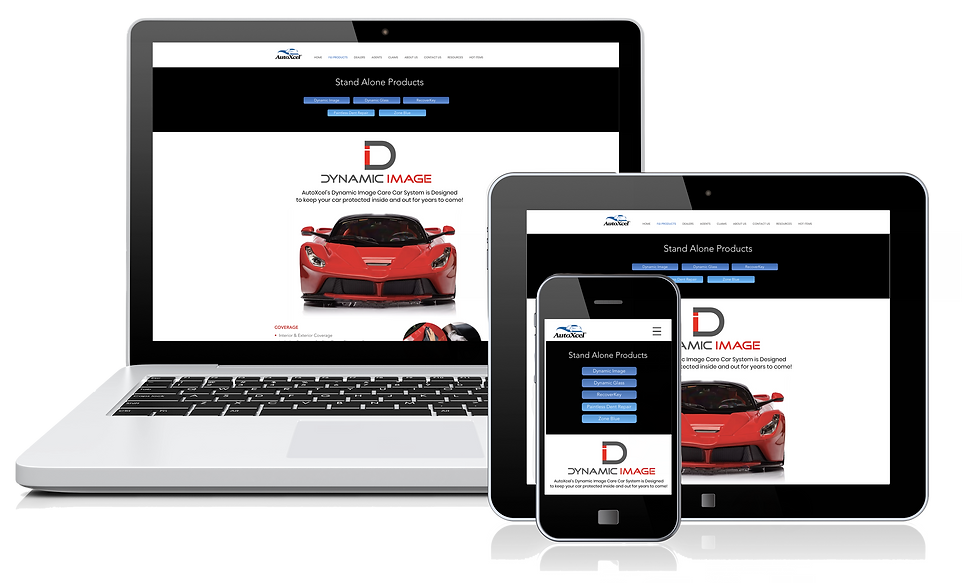 AutoXcel DI Website Page