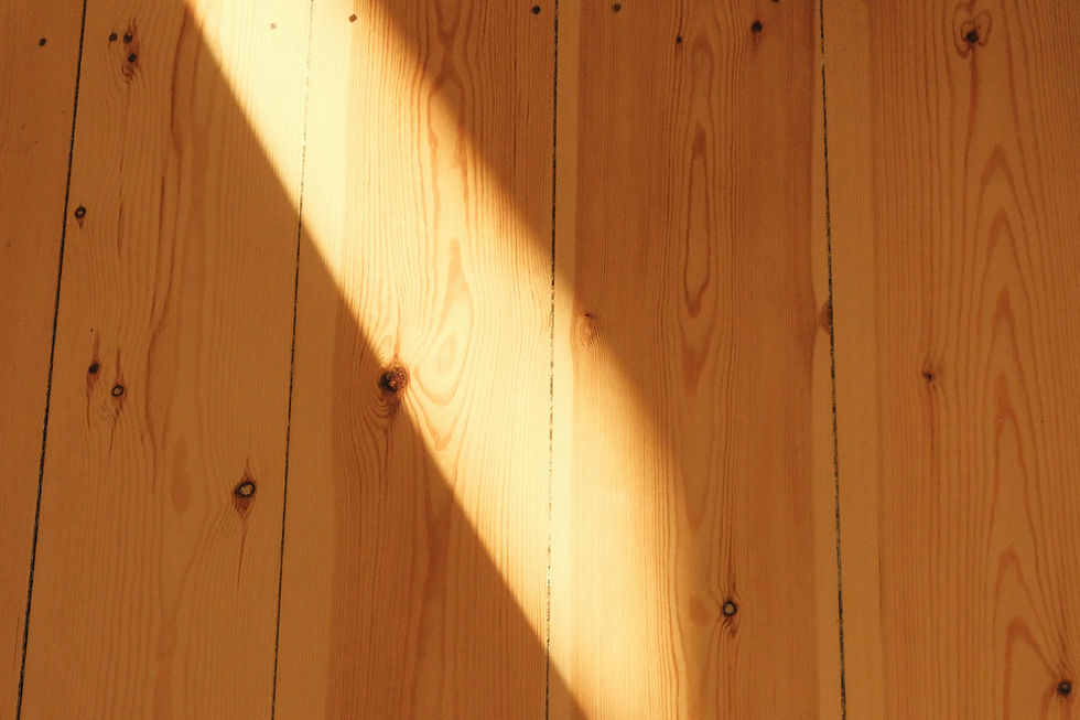 Close-up of a pine wood floor with sunlight on it.