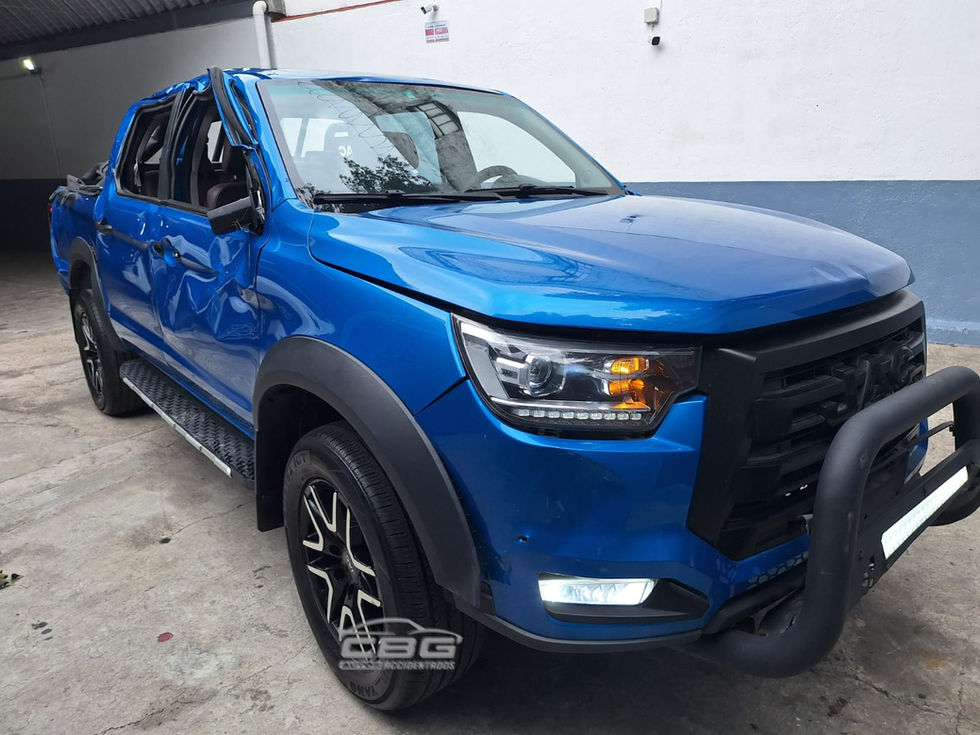 JAC FRISON T8 DC 2024 Piel