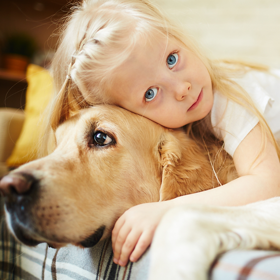 FamilyVet - ד״ר מור פימה