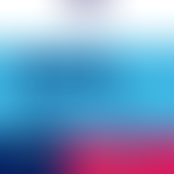 2024 Annual Impact Report