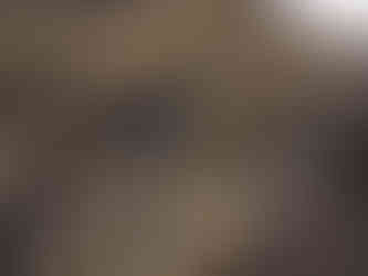 P7313895