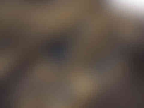 P7313895