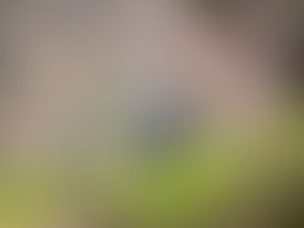 ¿A dónde ir? Conecta con la naturaleza en este rincón de Hidalgo