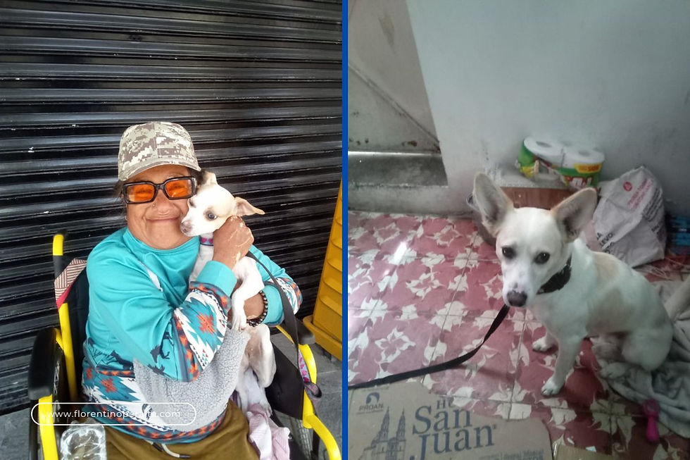Denuncian robo de dos perritos a mujer en silla de ruedas en colonia de Pachuca