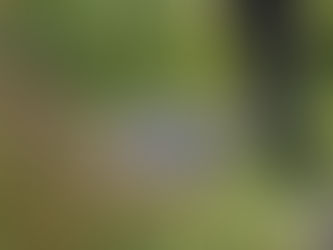 Hallan cuerpo sin vida en Tizayuca; con posibles lesiones por quemaduras
