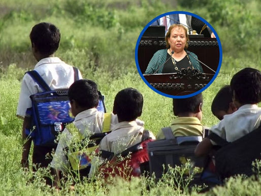 Que el Ejecutivo presente programas para jóvenes indígenas y afrodescendientes