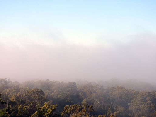 Frente frío 26 ingresa a Hidalgo: Heladas y vientos fuertes