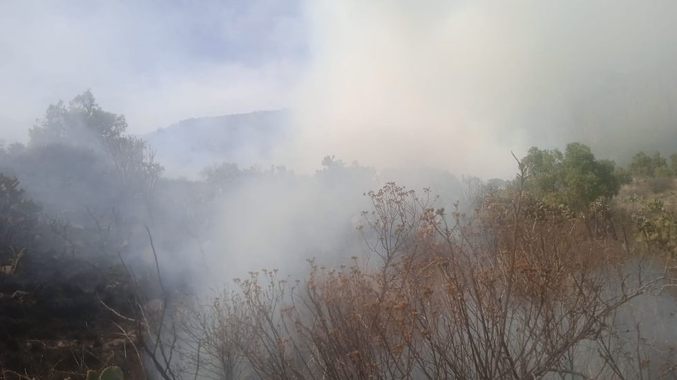 ¡Alerta en el Cerro de la Cruz! Reportan incendio este domingo