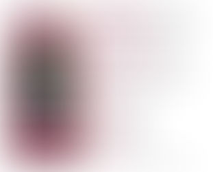 Buscan a húngaro-canadiense en Hidalgo, tiene 90 años de edad